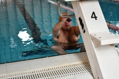 ADAPONDA-JOCS-SPECIAL-OLYMPICS-GRANOLLERS-2023-1271