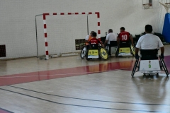 ADAPONDA-TORNEO-DE-A-BALL-FUTBO-EN-SILLA-058