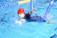 IMG-20231216-WA0045