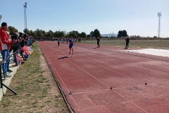 IMG_20240302_113407
