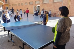 IMG_20240313_121235