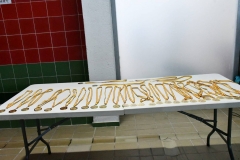 IMG-20240316-WA0018