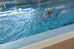 IMG_20240424_161659
