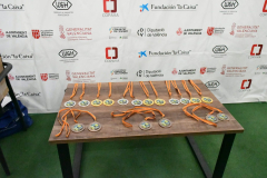 ADAPONDA-FINAL-LIGA-PADEL-FEDICV-2024-ONDA-253