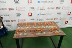 ADAPONDA-FINAL-LIGA-PADEL-FEDICV-2024-ONDA-254