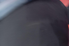 IMG_20241221_121004