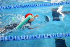 ADAPONDA-OPEN-NAVIDAD-2024-PINPON-Y-NATACION-814