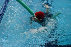 ADAPONDA-OPEN-NAVIDAD-2024-PINPON-Y-NATACION-823
