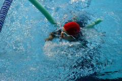 ADAPONDA-OPEN-NAVIDAD-2024-PINPON-Y-NATACION-824