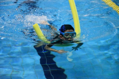 ADAPONDA-OPEN-NAVIDAD-2024-PINPON-Y-NATACION-852