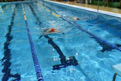 ADAPONDA-OPEN-NAVIDAD-2024-PINPON-Y-NATACION-937