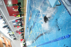 ADAPONDA-OPEN-NAVIDAD-2024-PINPON-Y-NATACION-402