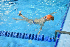 ADAPONDA-OPEN-NAVIDAD-2024-PINPON-Y-NATACION-661