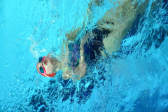 ADAPONDA-OPEN-NAVIDAD-2024-PINPON-Y-NATACION-695