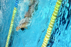 ADAPONDA-OPEN-NAVIDAD-2024-PINPON-Y-NATACION-699