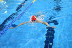 ADAPONDA-OPEN-NAVIDAD-2024-PINPON-Y-NATACION-716