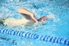 ADAPONDA-OPEN-NAVIDAD-2024-PINPON-Y-NATACION-754