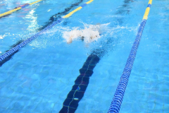 ADAPONDA-OPEN-NAVIDAD-2024-PINPON-Y-NATACION-796