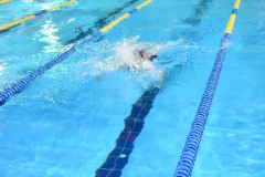 ADAPONDA-OPEN-NAVIDAD-2024-PINPON-Y-NATACION-797