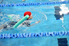 ADAPONDA-OPEN-NAVIDAD-2024-PINPON-Y-NATACION-813