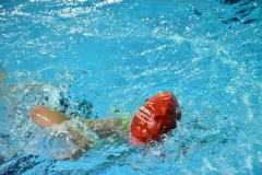 ADAPONDA-OPEN-NAVIDAD-2024-PINPON-Y-NATACION-891