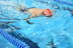 ADAPONDA-OPEN-NAVIDAD-2024-PINPON-Y-NATACION-908