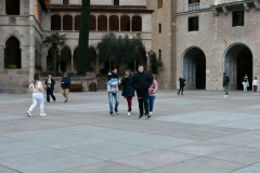 1_ADAPONDA-SABADELL-SPECIAL-OLYMPICS-2025-211