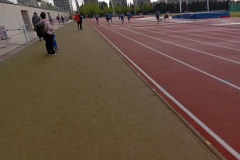 IMG_20250308_105250_1