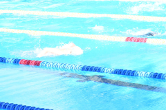 ADAPONDA-CP-ESPANA-NATACION-FEDDI-2025-CANARIAS-370