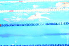 ADAPONDA-CP-ESPANA-NATACION-FEDDI-2025-CANARIAS-378