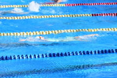 ADAPONDA-CP-ESPANA-NATACION-FEDDI-2025-CANARIAS-383