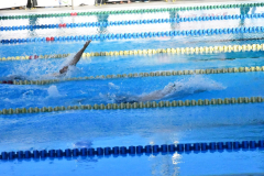 ADAPONDA-CP-ESPANA-NATACION-FEDDI-2025-CANARIAS-447