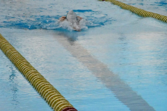 ADAPONDA-CP-ESPANA-NATACION-FEDDI-2025-CANARIAS-541