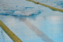 ADAPONDA-CP-ESPANA-NATACION-FEDDI-2025-CANARIAS-542