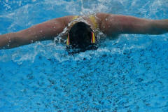 ADAPONDA-CP-ESPANA-NATACION-FEDDI-2025-CANARIAS-572
