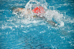 CTO-AUTONOMICO-DE-NATACION-FEDICV-CASTELLON-2025-140