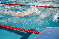 CTO-AUTONOMICO-DE-NATACION-FEDICV-CASTELLON-2025-163