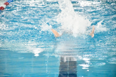 CTO-AUTONOMICO-DE-NATACION-FEDICV-CASTELLON-2025-217