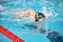 CTO-AUTONOMICO-DE-NATACION-FEDICV-CASTELLON-2025-261
