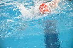 CTO-AUTONOMICO-DE-NATACION-FEDICV-CASTELLON-2025-269