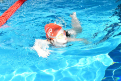 CTO-AUTONOMICO-DE-NATACION-FEDICV-CASTELLON-2025-058