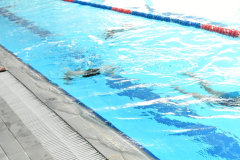 CTO-AUTONOMICO-DE-NATACION-FEDICV-CASTELLON-2025-079