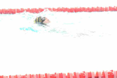 CTO-AUTONOMICO-DE-NATACION-FEDICV-CASTELLON-2025-198