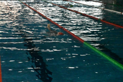 ADAPONDA-OPEN-NATACION-ACUATIC-CAMPANAR-2025-172