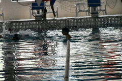 ADAPONDA-OPEN-NATACION-ACUATIC-CAMPANAR-2025-309