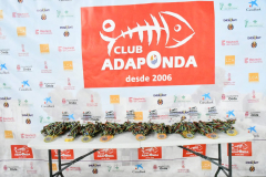 ADAPONDA-OPEN-NAVIDAD-NATACION-2025-004