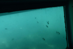 ADAPONDA-OPEN-AQUARION-ALICANTE-2026-489
