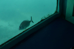 ADAPONDA-OPEN-AQUARION-ALICANTE-2026-490