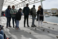 ADAPONDA-OPEN-AQUARION-ALICANTE-2026-531