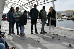 ADAPONDA-OPEN-AQUARION-ALICANTE-2026-532